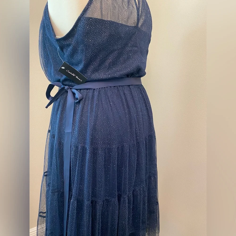 Plus Dress - Picture 4 of 4